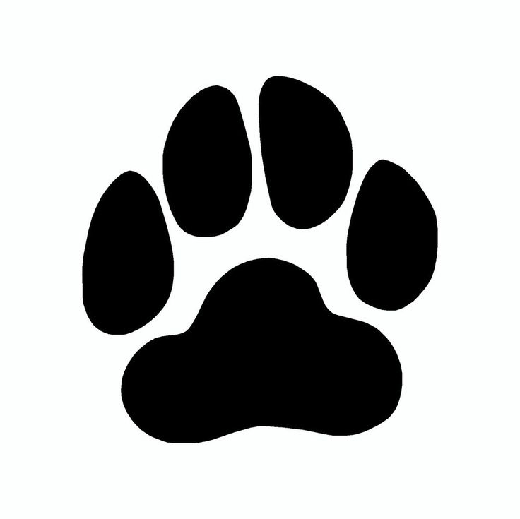 Picture of dog paw prints free clip arts sanyangfrp.