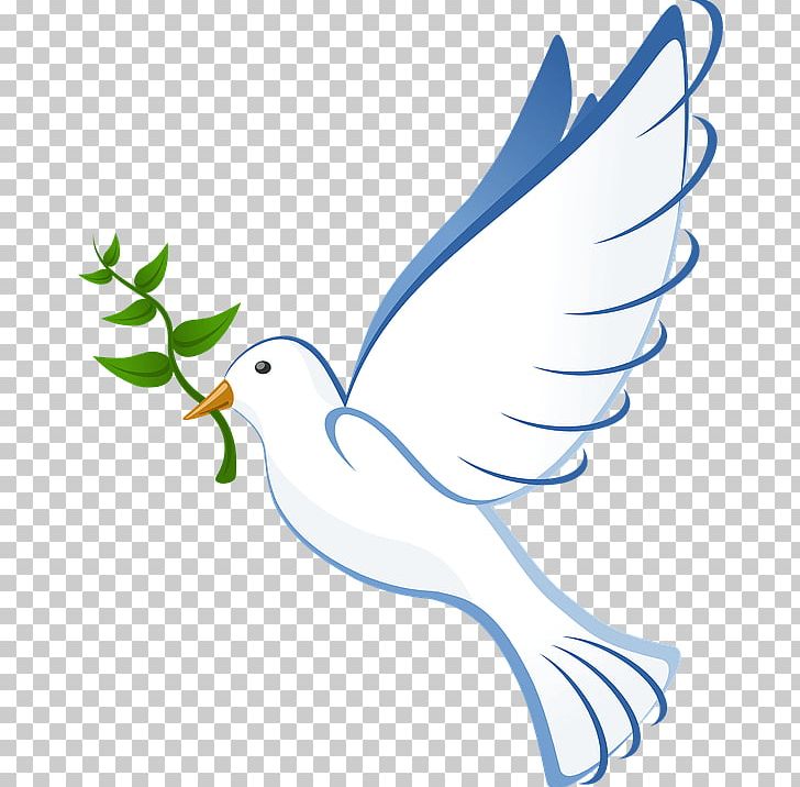 Peace Dove PNG, Clipart, Miscellaneous, Symbols Free PNG Download.