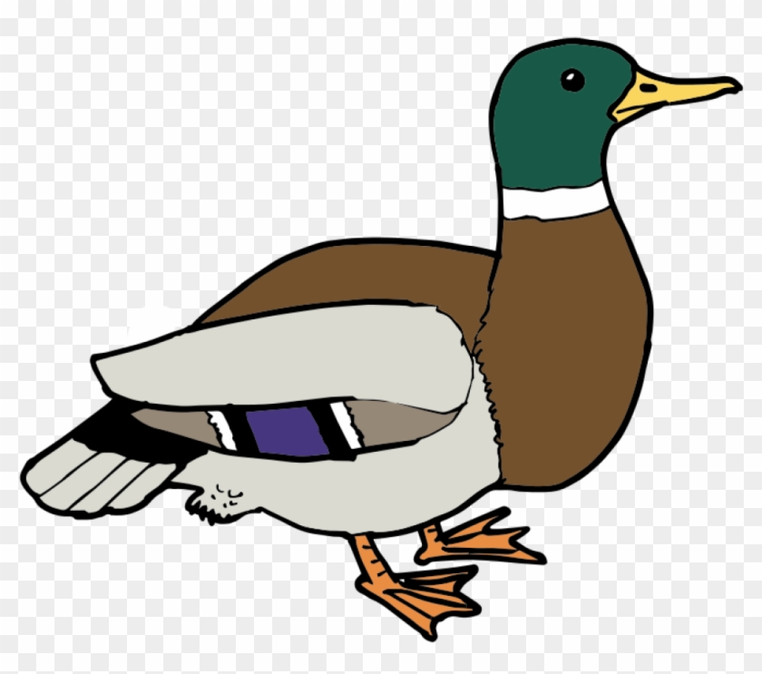 Free Duck Clipart Free Download Clip Art.