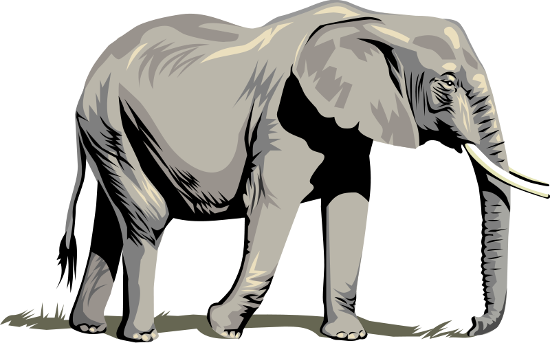 Free Elephants Images, Download Free Clip Art, Free Clip Art.