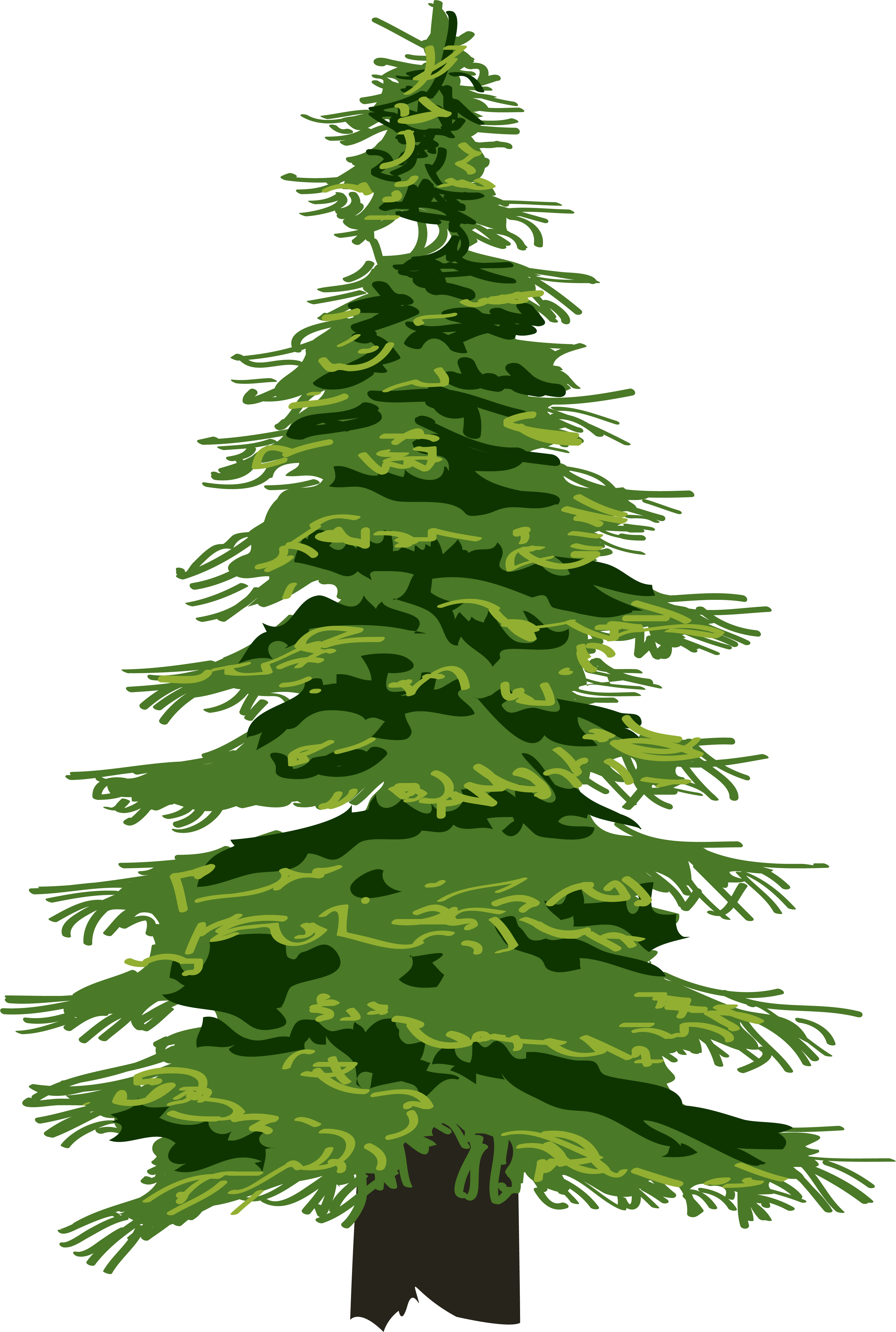 Pine Tree Evergreen Clip art.