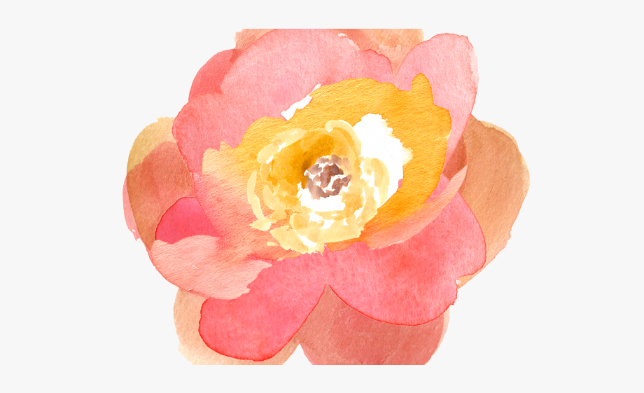 Peach Flower Clipart Free Fall.