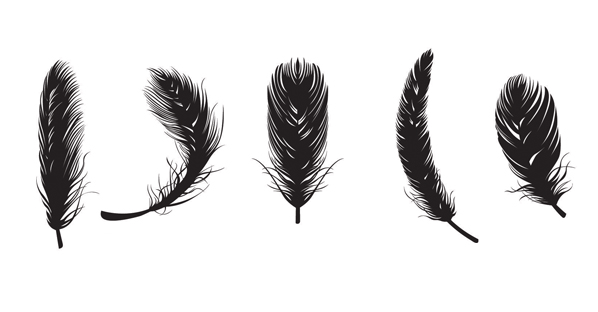 Feather free vectors.