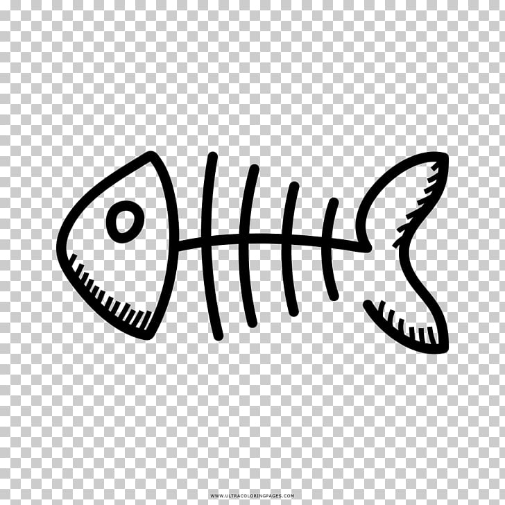 Drawing Fish bone Coloring book Skeleton, fish PNG clipart.