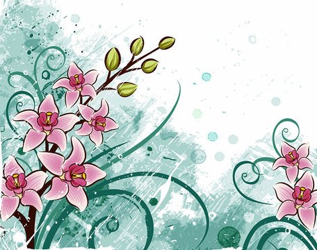 Lily Flower Background (Free) Clipart Picture Free Download.
