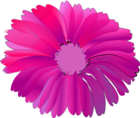 free flower clipart no backgrond - Clipground