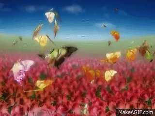 butterfly flowers Motion graphic Animated Background.