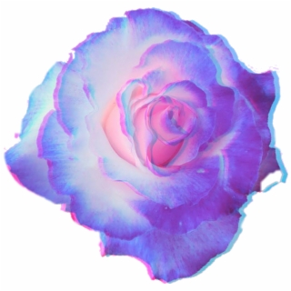 Free Flower PNG Images & Cliparts.