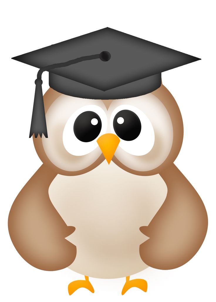 Graduation Owl Clipart.