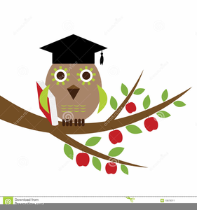Graduation Owl Clipart.