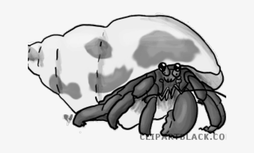 Hermit Crab Clipart Blue Crab.