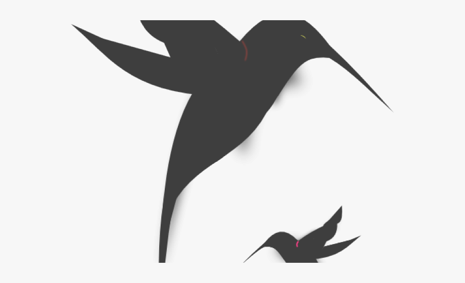 free hummingbird clipart black and white 10 free Cliparts | Download