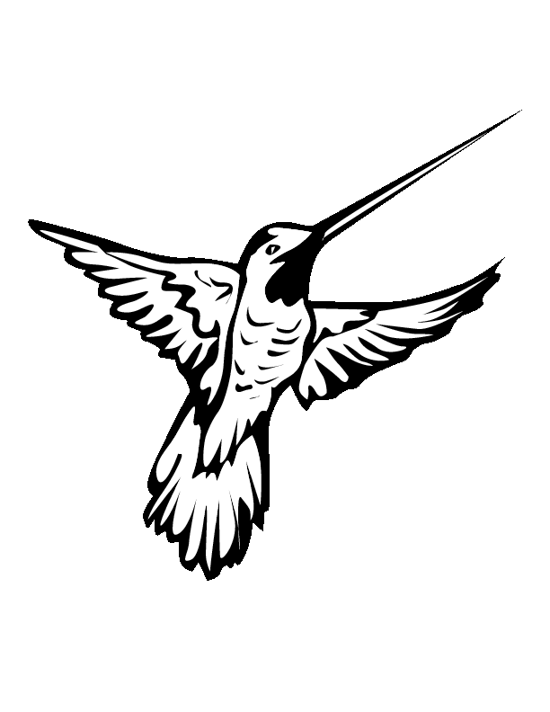 Hummingbird clip art black and white clipart images gallery for free.