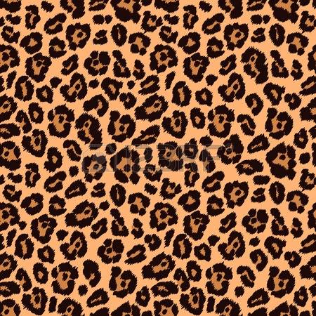 11,056 Leopard Stock Vector Illustration And Royalty Free Leopard.