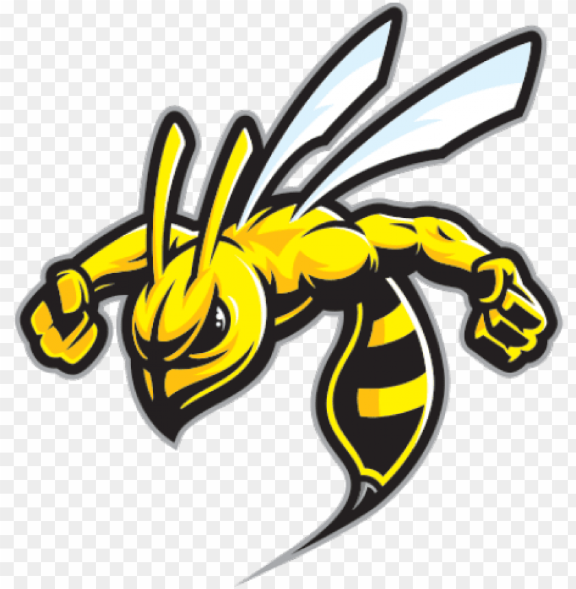 hornet clipart wasp sting.