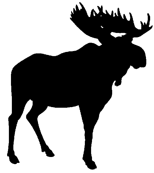 Moose Clipart Cartoon.