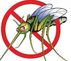 Mosquito Clip Art Images.