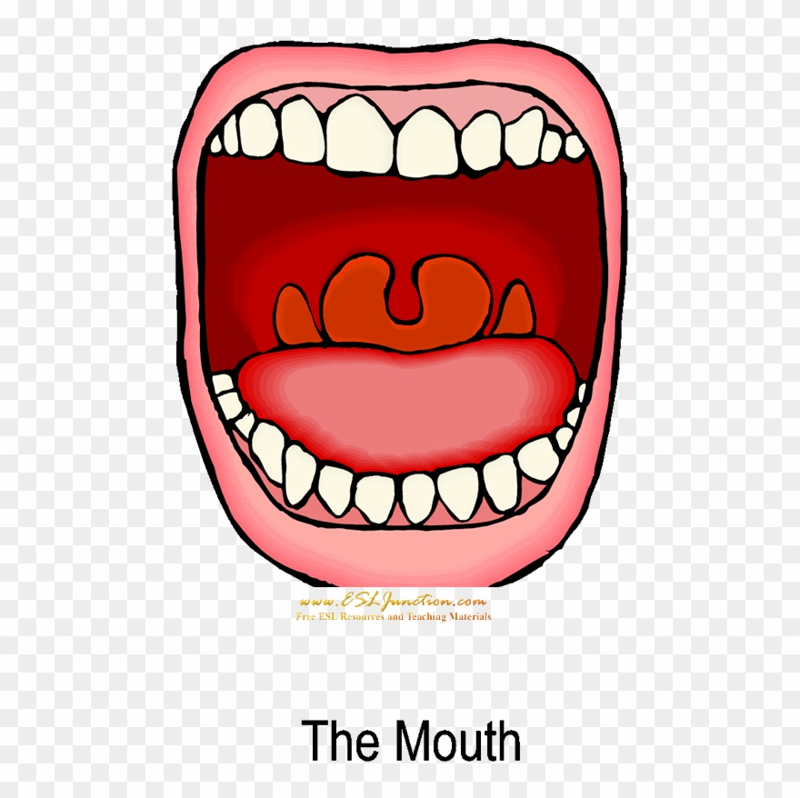 Mouth Free Clipart The Cliparts Transparent Png.