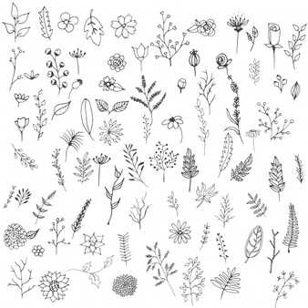 free outline pictures of flowers 20 free Cliparts | Download images on