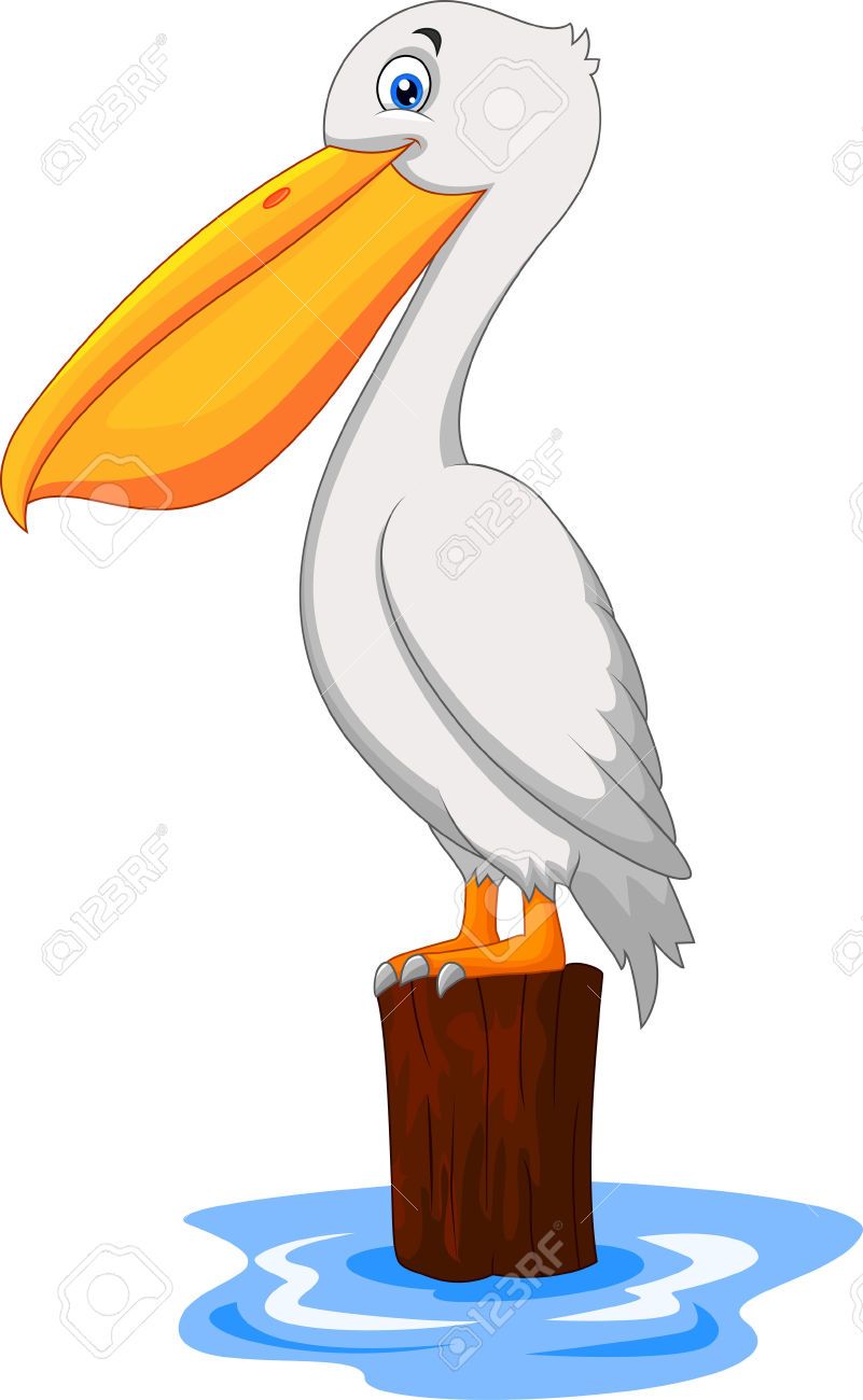 Pelican Cliparts, Stock Vector And Royalty Free Pelican.