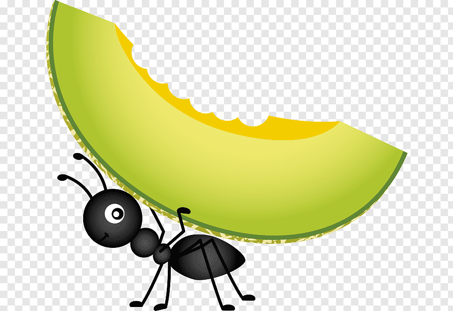 Black ant carrying sliced fruit illustration, Food Picnic.