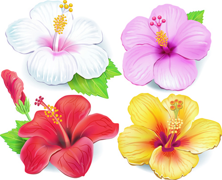 Beautiful flower theme free vector download (18,498 Free vector.