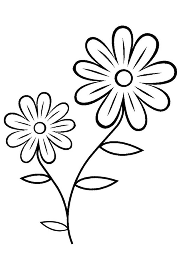 Free Printable Flowers Pictures 20 Free Cliparts Download Images On 