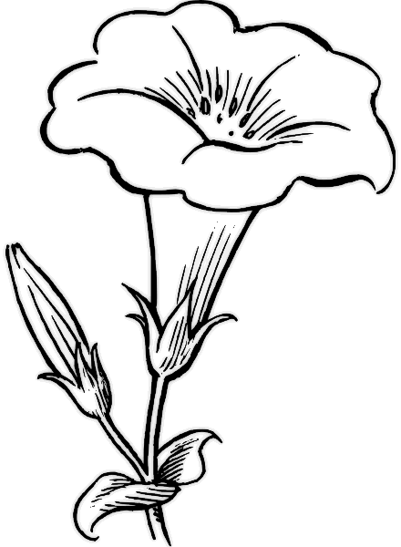 flower Page Printable Coloring Sheets.