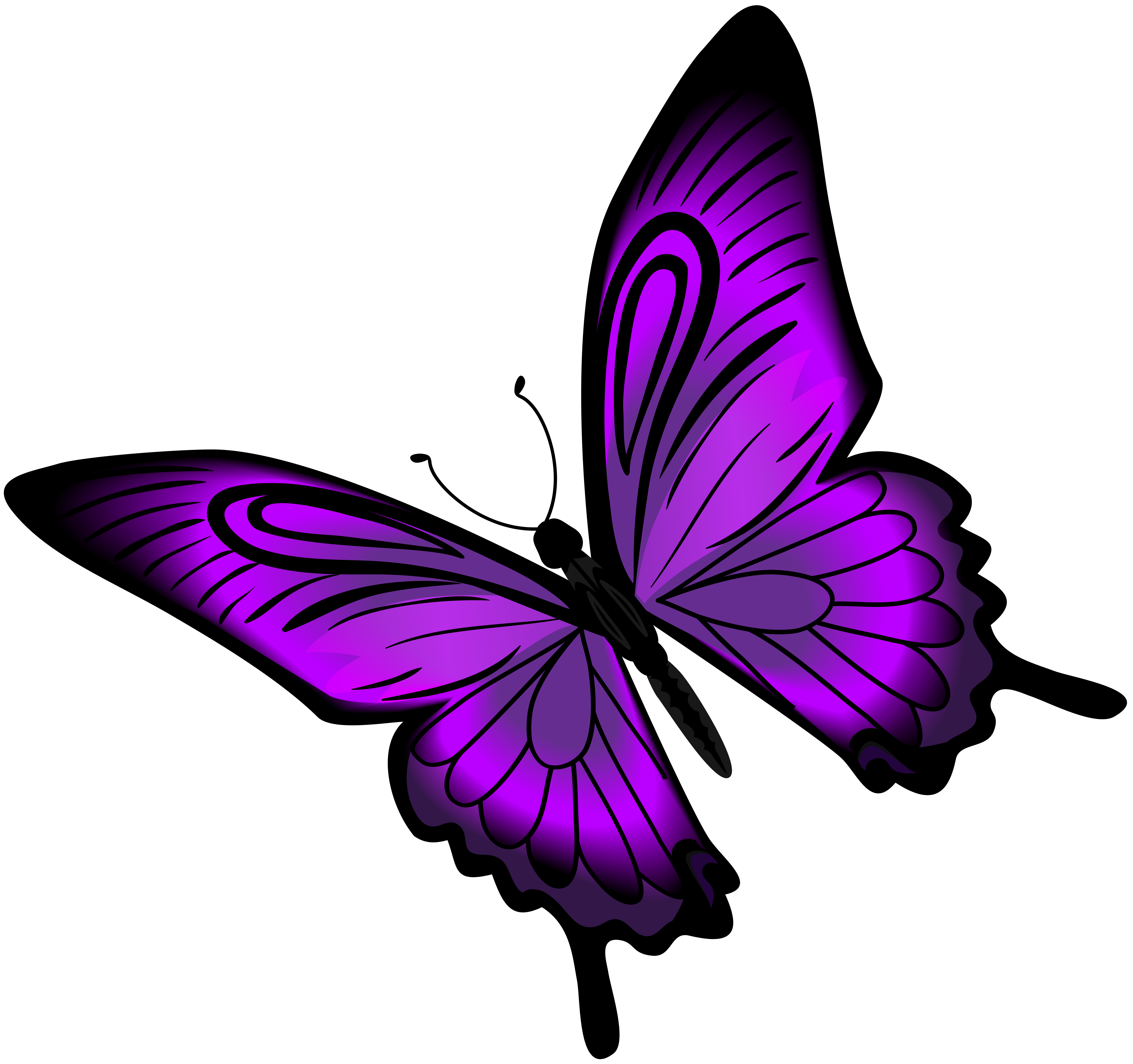 0 Result Images Of Imagenes De Mariposas Moradas Png PNG Image Collection