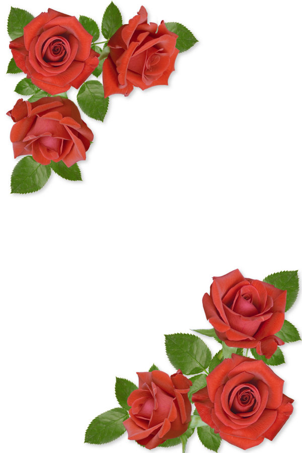 Free Red Rose Border Clip Art 10 Free Cliparts Download Images On Clipground 2024 2155