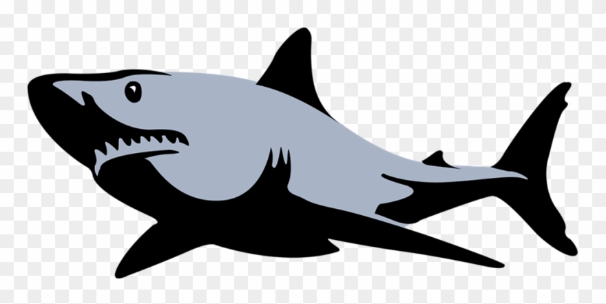 Shark Fin Free Shark Pictures Download Clip Art On.