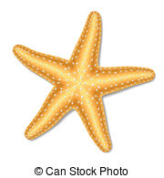 Starfish Illustrations and Clipart. 26,638 Starfish royalty free.