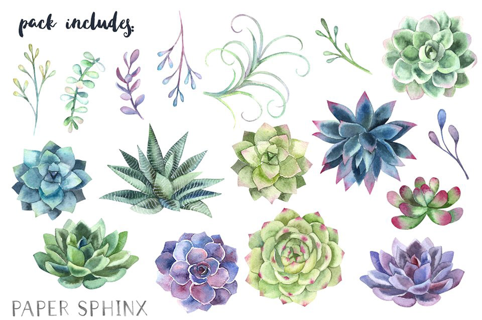 Watercolor Succulents Clipart FREE DOWNLOAD! on Behance.
