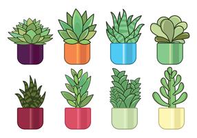 free succulent clipart 10 free Cliparts | Download images on Clipground