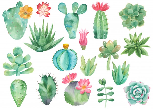 succulent clipart free 10 free Cliparts | Download images on Clipground
