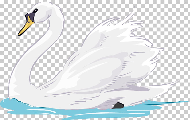 Mute swan Duck Animation , swan, white swan illustration PNG.