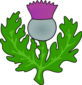 Free Thistle Cliparts, Download Free Clip Art, Free Clip Art.