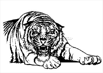 Free tigers clipart graphics images and photos 2.