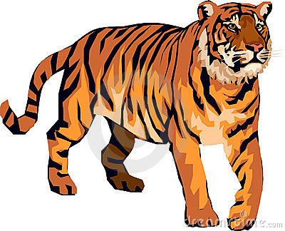 6477 Tiger free clipart.