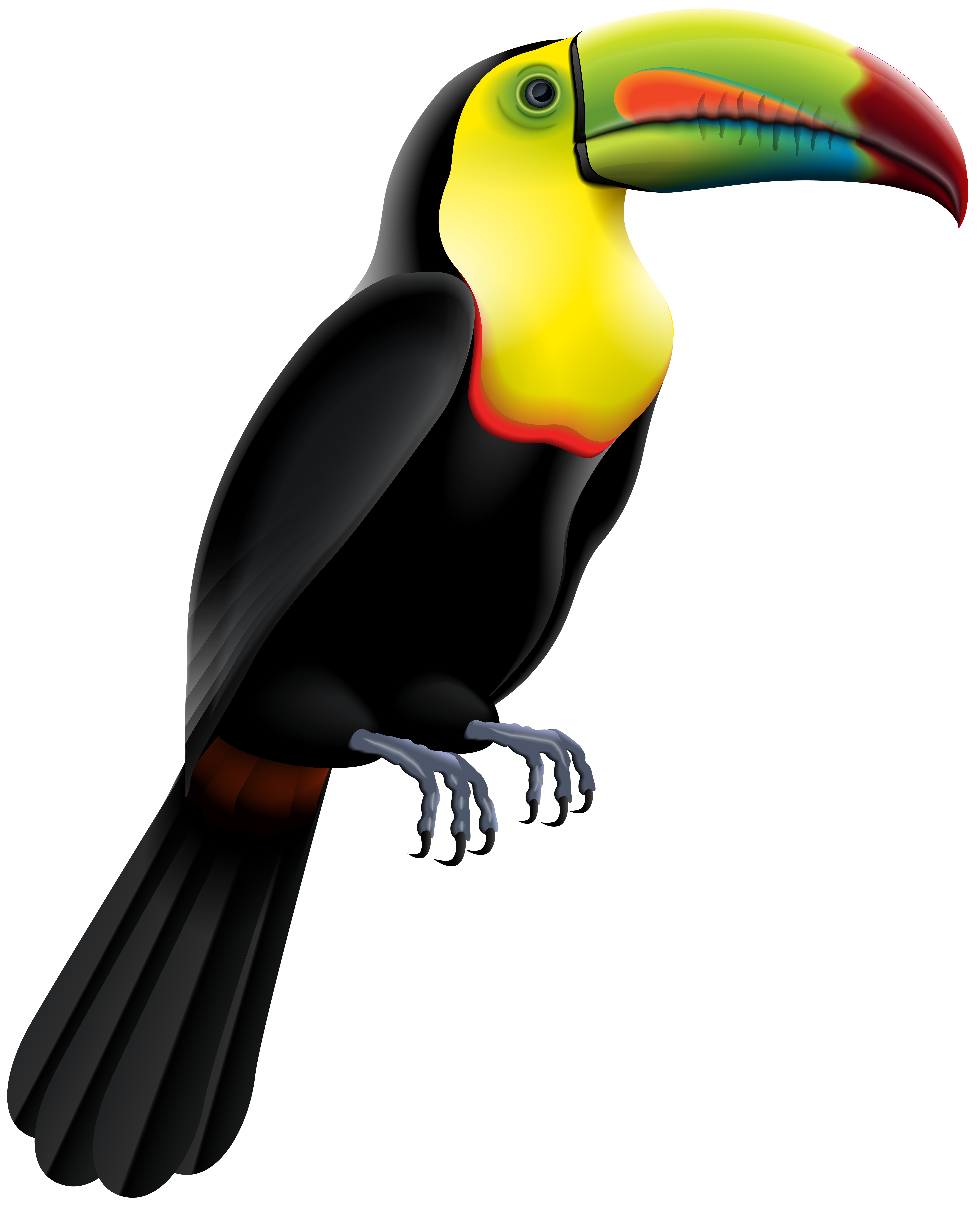 cartoon toucan