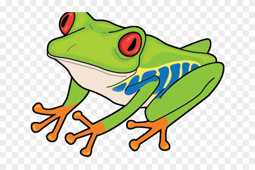 Red Eyed Tree Frog Clipart, HD Png Download (#1389300), Free.