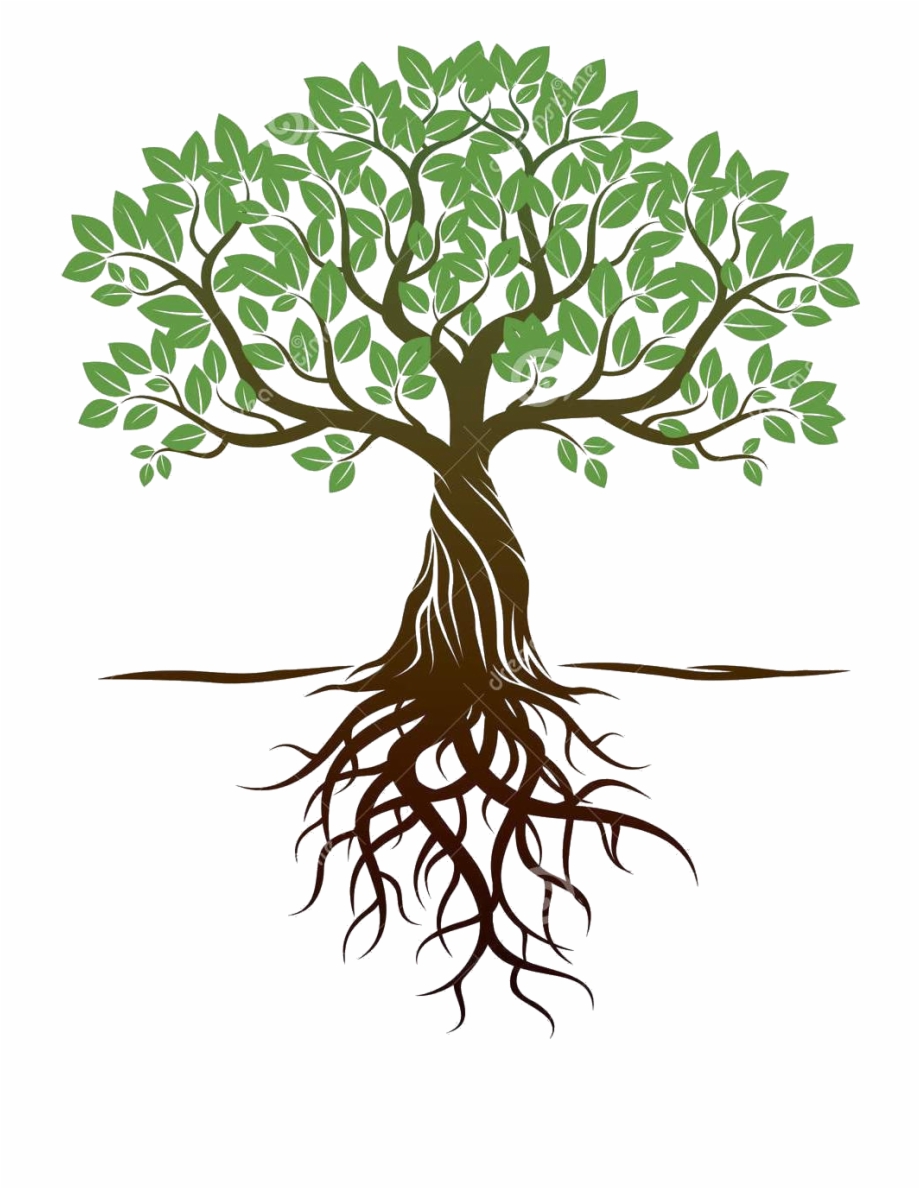 free tree with roots clipart download 10 free Cliparts | Download