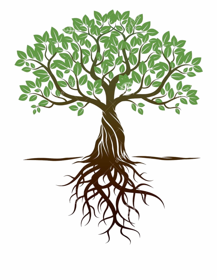 Free Tree With Roots Clipart Download 10 Free Cliparts Download 