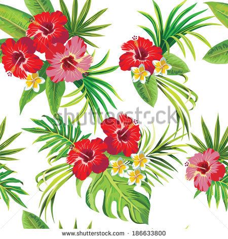 Tropical Hibiscus Leaves And Flowers Clipart.