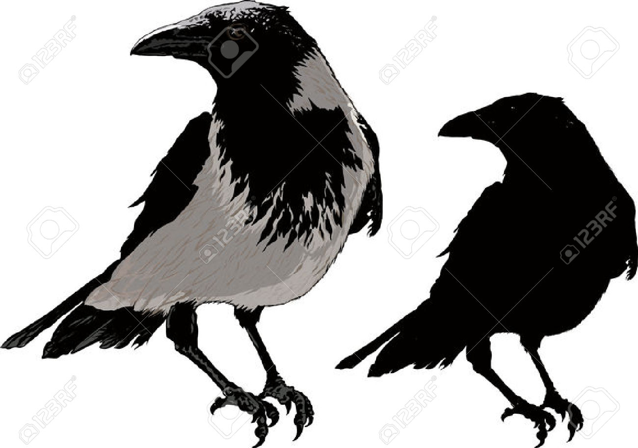 7,184 Raven Stock Vector Illustration And Royalty Free Raven Clipart.