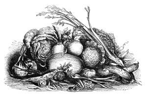 Free Vintage Image ~ Fall Harvest Display of Vegetables Clip.