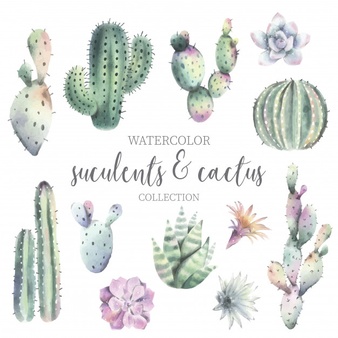 Cactus Vectors, Photos and PSD files.