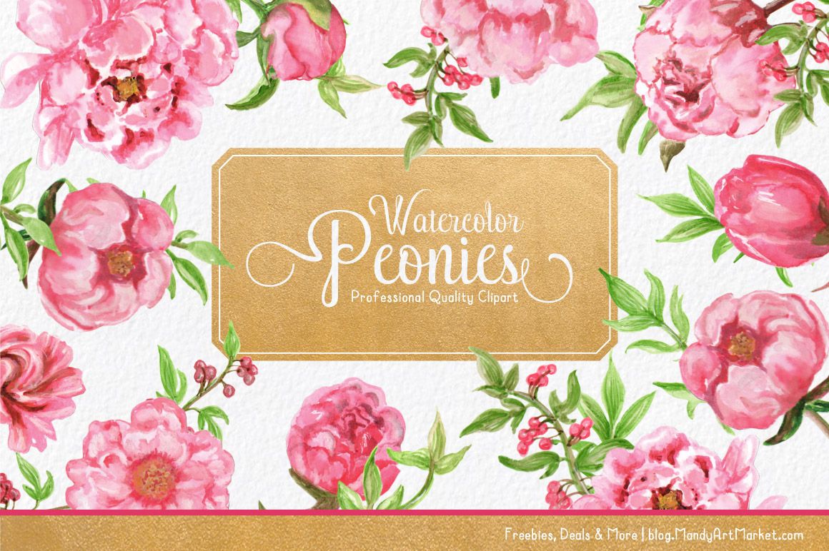 Watercolor Peonies Clipart.