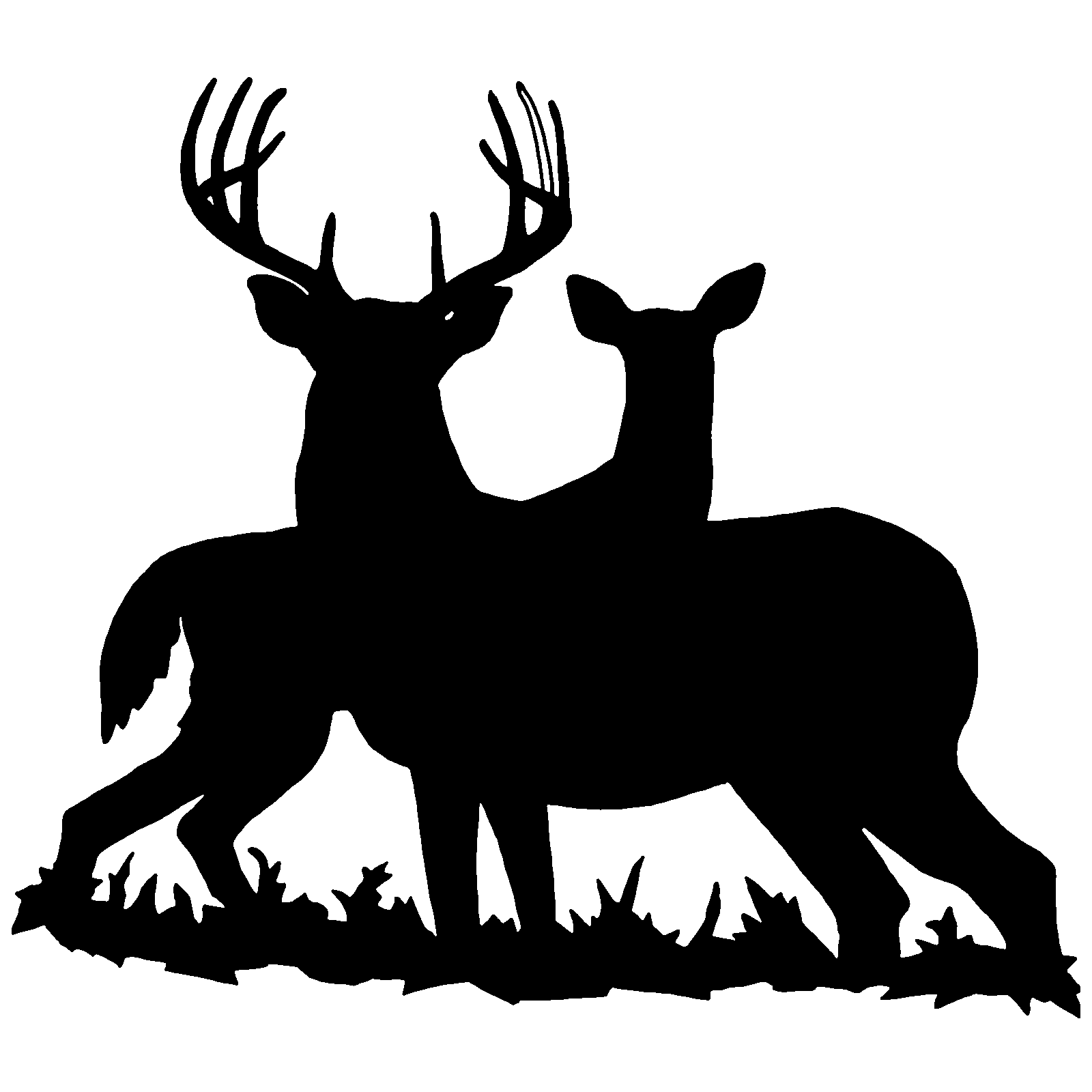 free whitetail buck clipart - Clipground