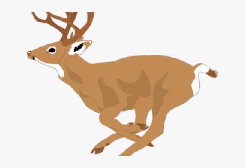 White Tailed Deer Clipart.